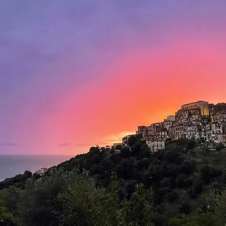 Cozy * Pisciotta